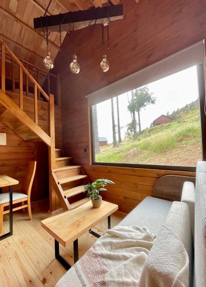 Mountain Eco Shelter 7 Hotell Funchal  Exteriör bild